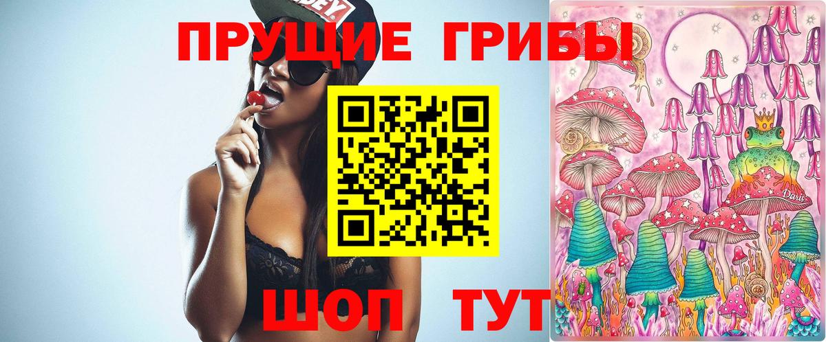 Хабаровск  Галлюциногенные грибы Psilocybe  Вход с VPN 