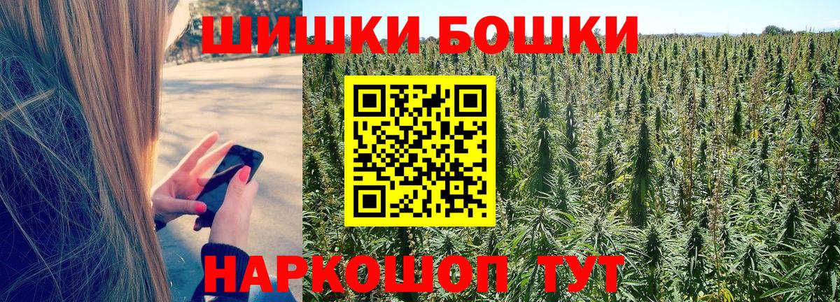 Бошки Шишки план Хабаровск